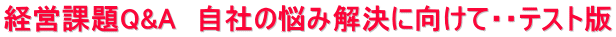 経営課題Q&A　自社の悩み解決に向けて・・テスト版
